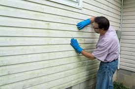 Best Storm Damage Siding Repair  in Olive Branch, MS